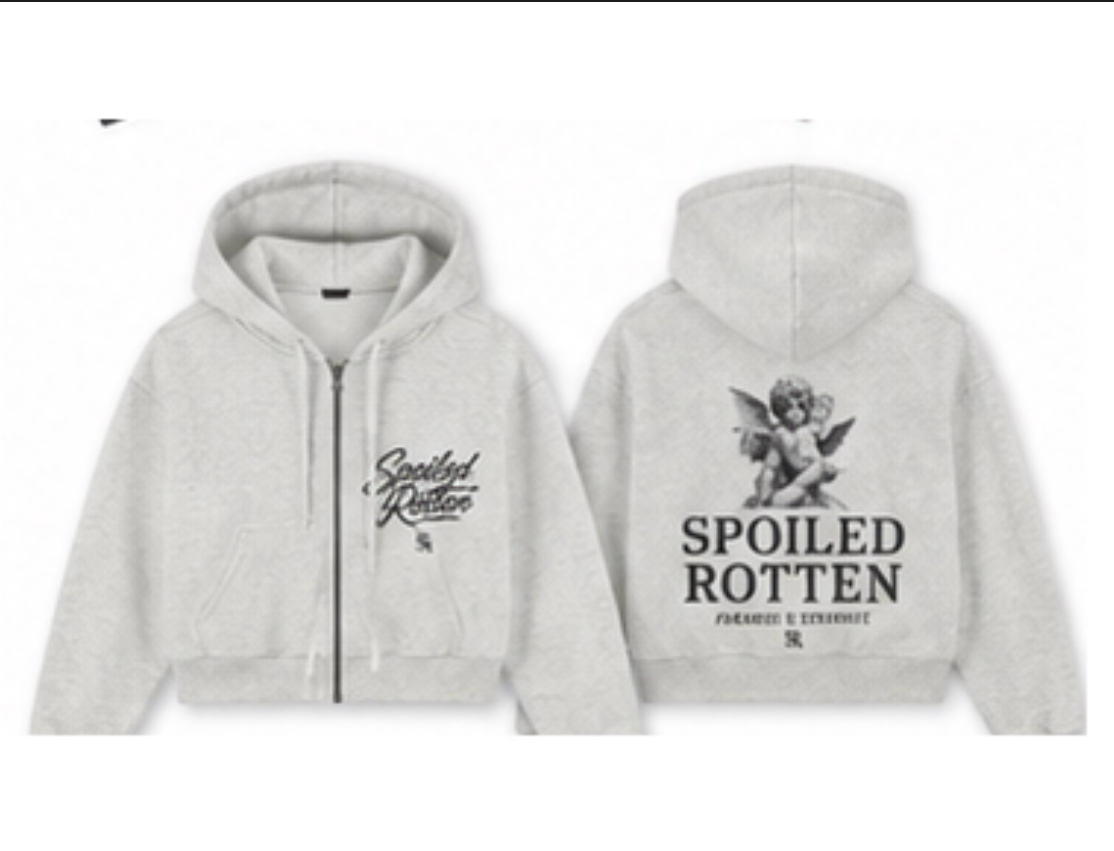 Paradise Is Expensive Ash Zip Hoodie